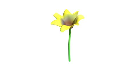 Flower1 - 3D model by SamMurray1013196 [6159c8e] - Sketchfab