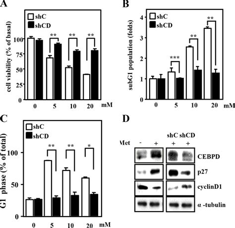 CEBPD Contributes To Metformin Induced Cell Cycle Arrest And Cell