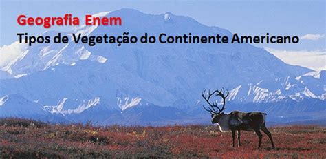 Vegetação Do Continente Americano - Vegetação do continente americano: tipos e características