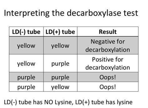 Microbiology Lysine Decarboxylase Test Flashcards | Quizlet