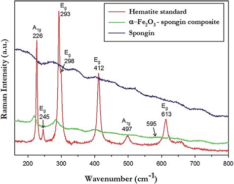 Raman Spectra Of Hematite Standard Spongin And A Fe O Spongin