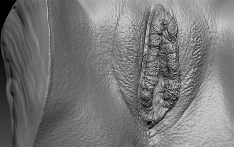 SCULPTED VAGINA N Elle R Nude D File For Cults