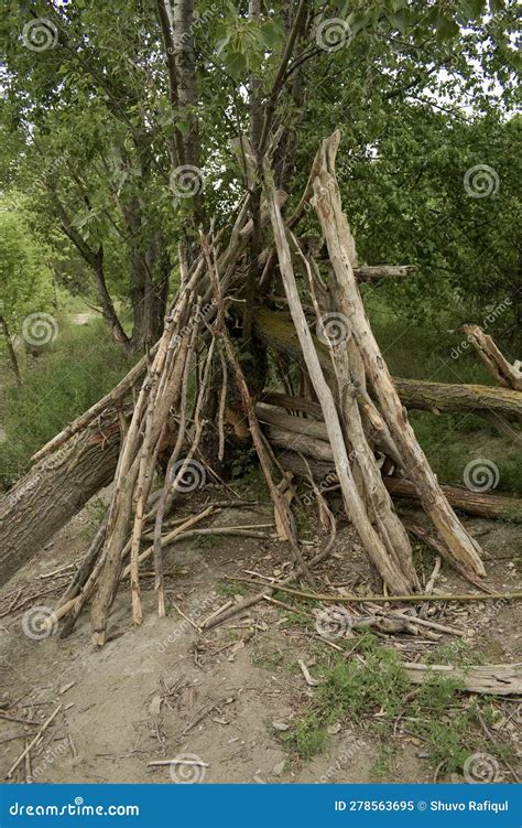 Survival Shelter In The Forest Shelter In The Woods From Tree Branches