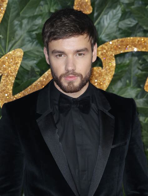 Did Liam Payne Get Plastic Surgery? Jaw, Face Photos | Life & Style