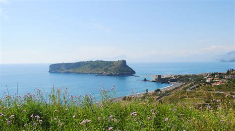 Parco Marino Riviera Dei Cedri Sede Operativa A Praia A Mare Infopinione