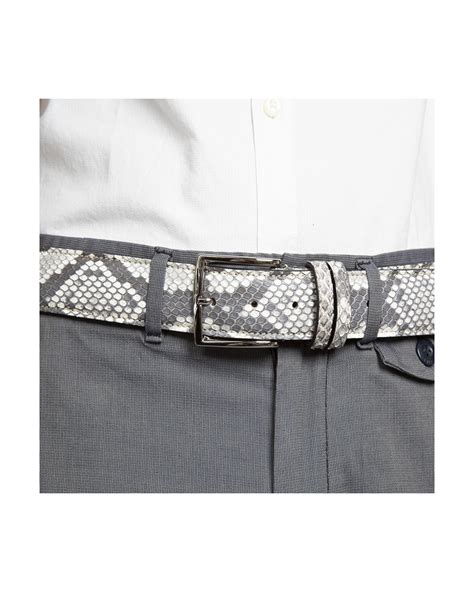 Alex Python Gray Leather Belt