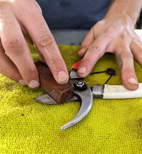 The Martha Stewart Blog : Blog Archive Sharpening Garden Pruners - The