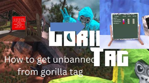 How To Get Unbanned In Gorilla Tag Karon Pennie