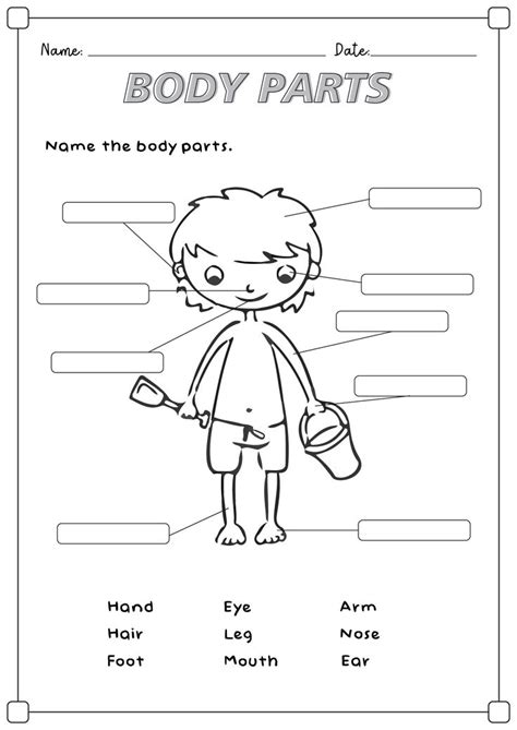 16 Kindergarten Worksheet My Room Kindergarten Worksheets Reading Comprehension Kindergarten