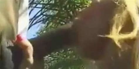 Amber Lynn Anal Invasion Vignette 2 Tnaflix