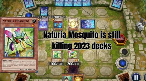 Naturia Deck 2023 Naturia Mosquito Gameplay YouTube