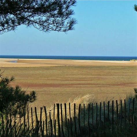 Dog walk at Holkham Beach, North Norfolk · Norfolk · Walkiees