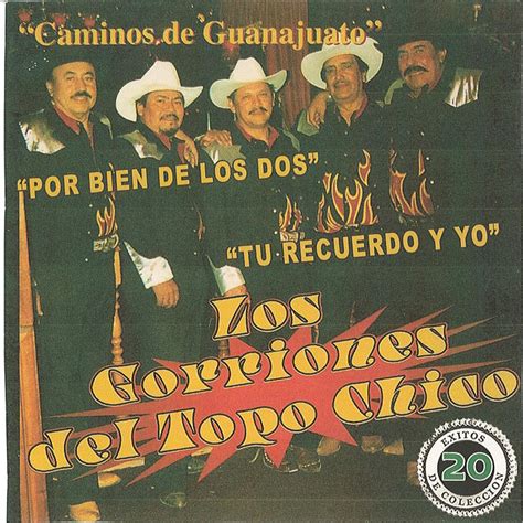 Xitos De Colecci N Album By Los Gorriones Del Topo Chico Apple