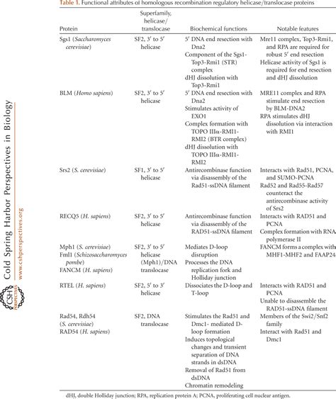 Figure 1 From Regulation Of DNA Pairing In Homologous Recombination