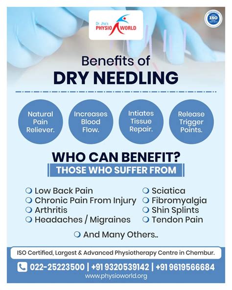 Dry Needling Therapy In Chembur Mumbai At Dr Jha S Physioworld Dry