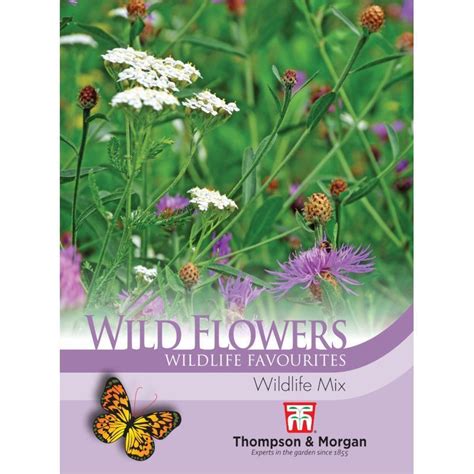 Thompson And Morgan Wildflower Wildlife Mix Coolings Garden Centre