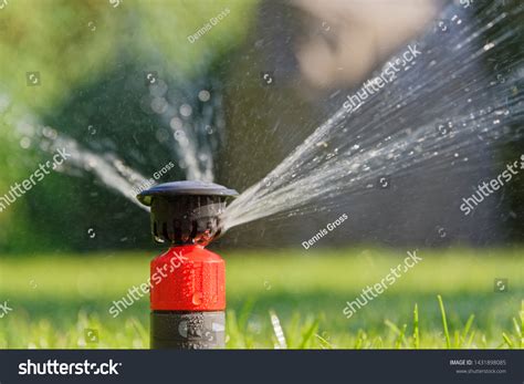 30 Irrigation Pop Up Sprinkler Head Images, Stock Photos & Vectors ...