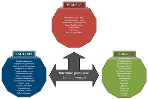 Herpes Zoster Vs Herpes Simplex