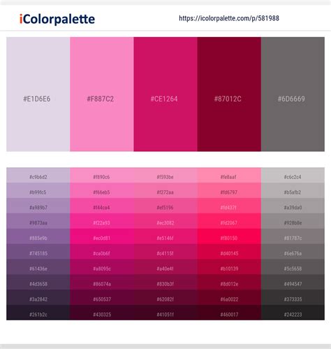 1530+ Latest Color Schemes with Hot Pink Color tone combinations | 2024 ...