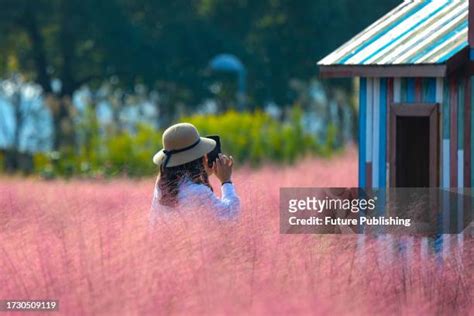 Dianshan Lake Photos And Premium High Res Pictures Getty Images