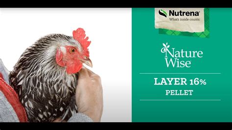 Nutrena Naturewise Layer 16 Pellet Poultry Feed Blains Farm And Fleet Youtube