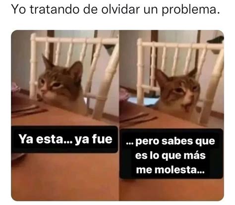 Yo Tratando De Olvidar Un Problema Ya Esta Ya Fue Pero Sabes