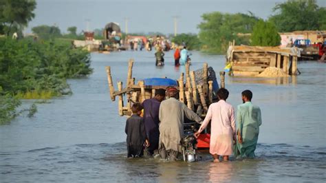 Pak Floods World Bank To Provide 323 Bn To Farmers In Flood Hit Areas