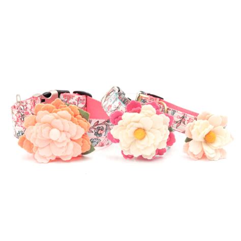 Dog Collar Flowers | Handmade by Mimi Green