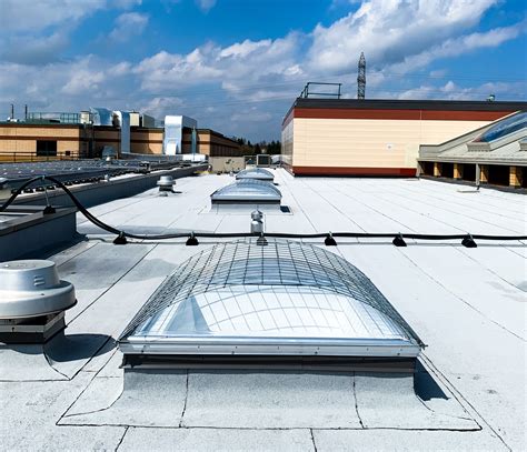 Fall Protection Series Artistic Skylight