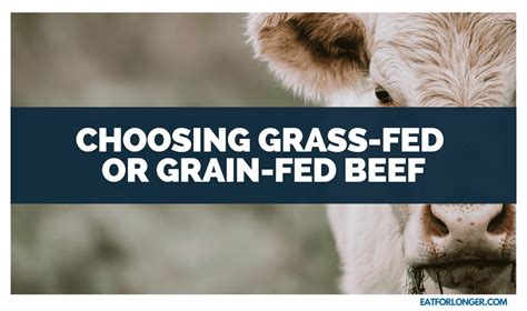 How Beef Cuts Impact Sustainability From Farm To Table