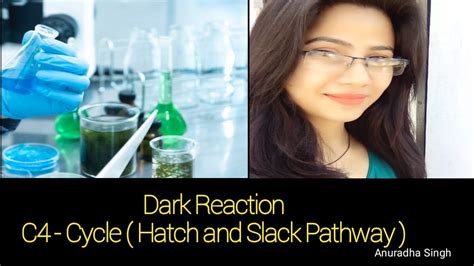 Dark Reaction C Cycle Hatch And Slack Pathway Youtube