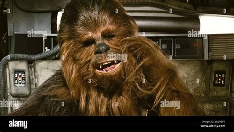 Usa Peter Mayhew As Chewbacca In A Scene From The C Twentieth Century