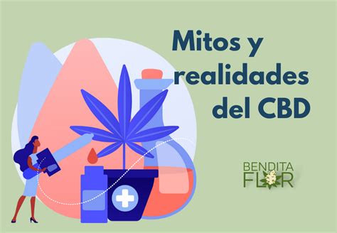 Mitos Y Realidades Del Cbd Bendita Flor