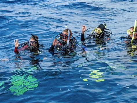 PADI Scuba Diving Courses Nha Trang – Sailing Club Divers