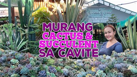 SAAN MAKAKABILI NG MURANG CACTUS AND SUCCULENT SA CAVITE By Intri S