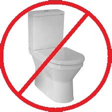 Do Not Flush These Things Down Your Toilet In Phoenix Arizona Rooter