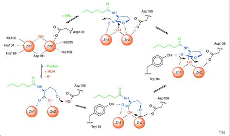 The Enzymes Of Bacterial Census And Censorship Trends In Biochemical