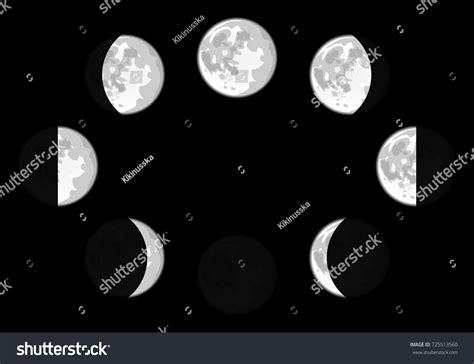 Cartoon Moon Phase Vector Illustration On Stock Vector (Royalty Free ...