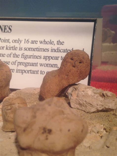 Some Rocks Are On Display With A Sign In The Background