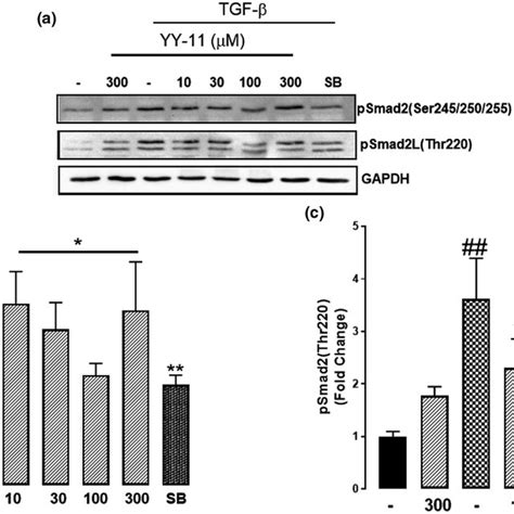 A Rphplc And B Esims Data For The Purified Yy Peptide