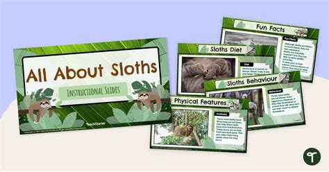 All About Sloths Teaching Powerpoint Teach Starter