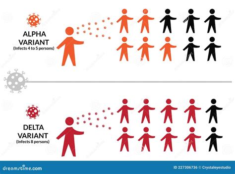 Covid Alpha And Delta Variants Comparison Infographic Stock Vector