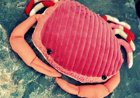 Les Parapluies Du Jeudi Le Gros Crabe De Bretagne Creation Couture