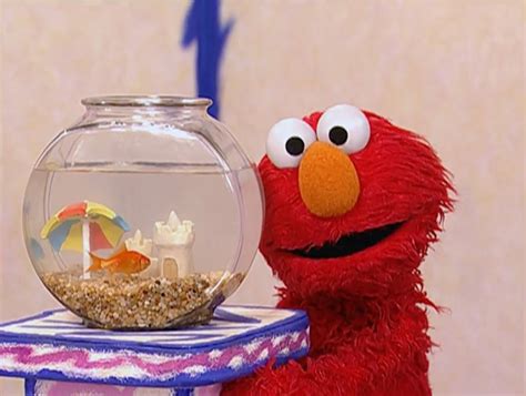 Elmo's World: The Beach - Muppet Wiki