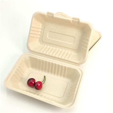 Disposable Takeaway Biodegradable X X Take Out Box Sugarcane Bagasse