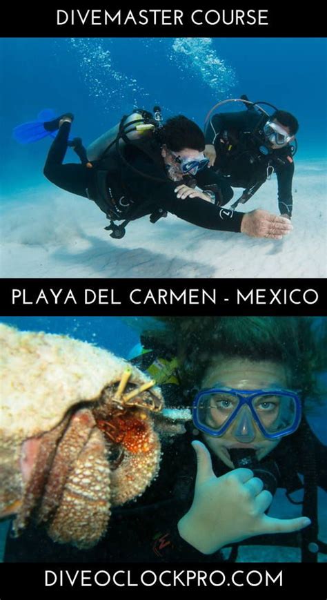 Padi Divemaster Playa Del Carmen Mexico More Info