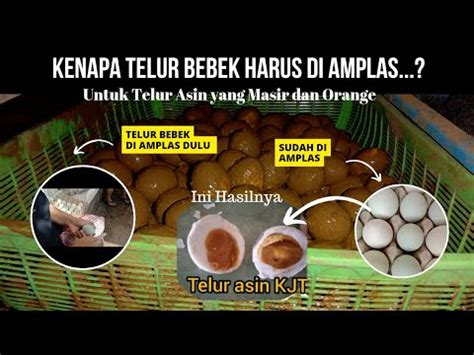 Untuk Telur Asin Yang Masir Dan Orange Telur Harus Di Amplas Terlebih