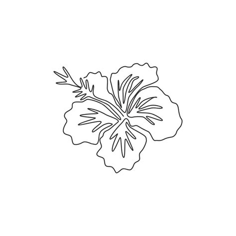 Premium Vector One Single Line Drawing Of Beauty Hibiscus Printable