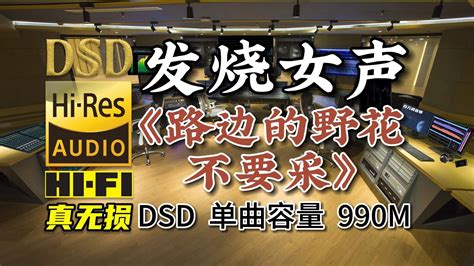 发烧人声：老歌新唱《路边的野花不要采》，dsd完整版990m，百万调音师专业录音棚制作，顶级hifi音乐 车音乐百万调音师 车音乐百万调音