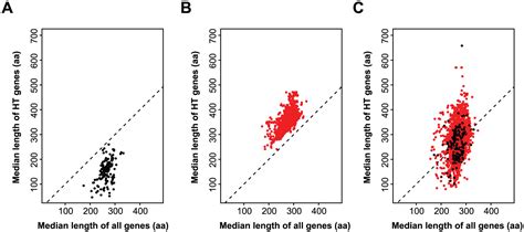 Prediction Of Horizontally And Widely Transferred Genes In Prokaryotes